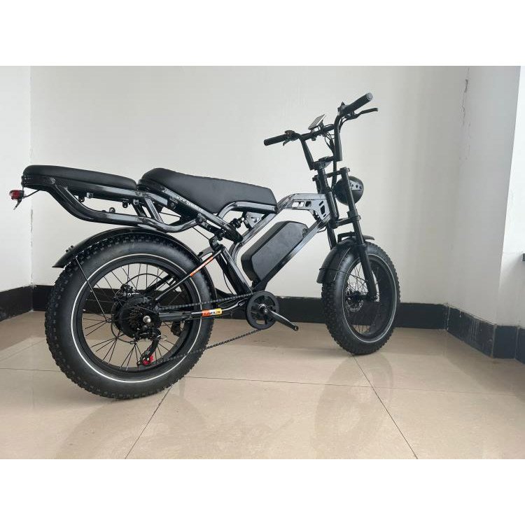 Competitive Price Good Quality 350w 48v 12Ah Drum Brake 20 Inch Tire 350w Offroad Mountain City Electric Bicycle
